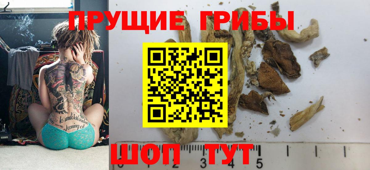 Галлюциногенные грибы Magic Shrooms  Вход с VPN  Галлюциногенные грибы прущие грибы  Артёмовский 
