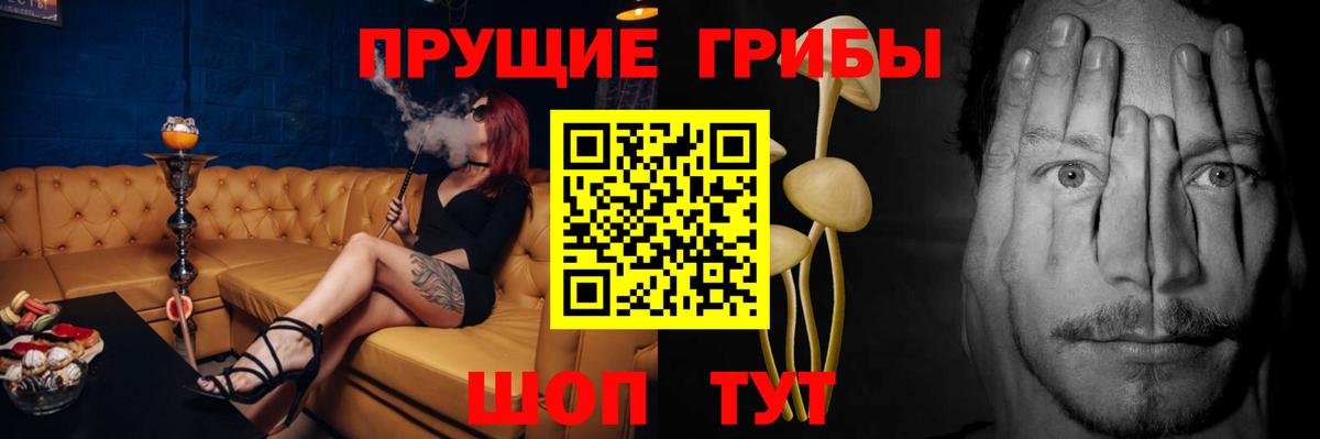 Псилоцибиновые грибы Psilocybe Артёмовский